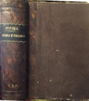 Stendhal - Rojo y negro. Tomos I y II
