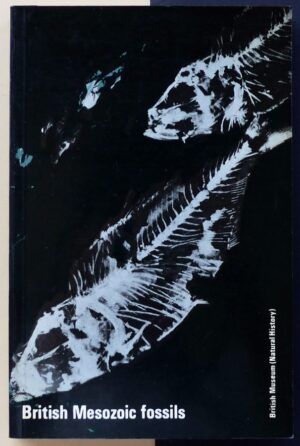 CASTELL, C.P. - British Mesozoic fossils.