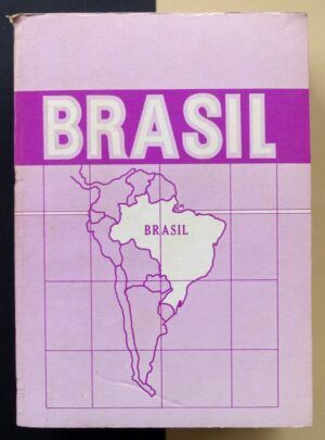 G.T.E.L.B - BRASIL. Situación, recursos, posibilidades.