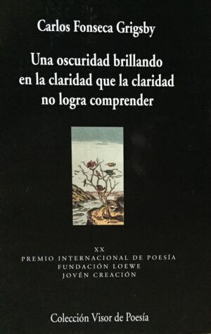 FONSECA GRIGSBY, Carlos - Una oscuridad brillando en la claridad que la claridad no logra comprender.
