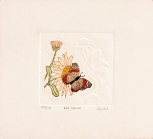 VEEL, Liz - Red admiral